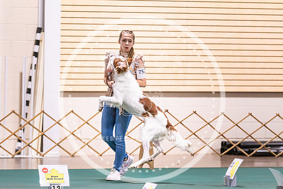 Dog Obedience 2021-5478
