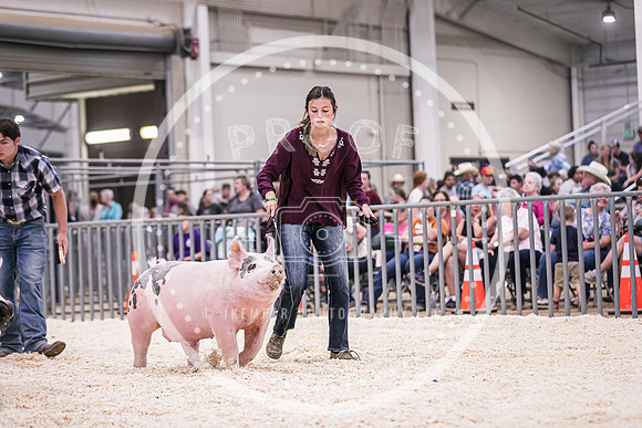 Swine Showmanship-6050