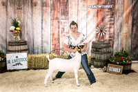 Goats- Backdrop-3363