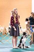 Dog Obedience 2021-5365
