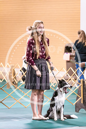 Dog Obedience 2021-5365