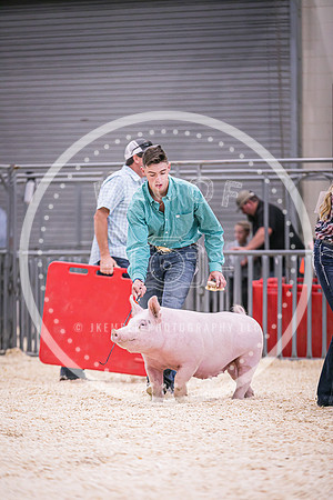 Swine Market-7249