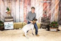 Goats- Backdrop-3358