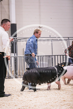 Swine Showmanship-6060