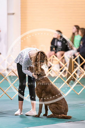 Dog Obedience 2021-5473