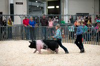 Peewee-5917