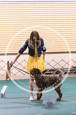 Dog Obedience 2021-5457