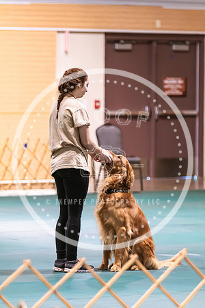 Dog Obedience 2021-5429