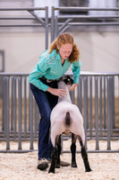 Sheep Showmanship-3603