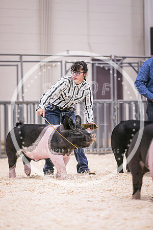 Swine Showmanship-6043