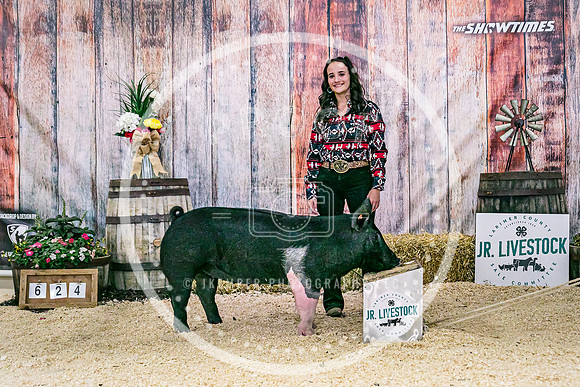 Swine Backdrop-8178