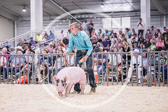 Swine Showmanship-6067