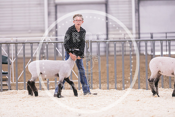 Market Lambs-4789