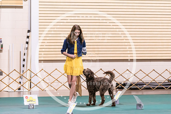 Dog Obedience 2021-5455