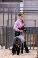 Sheep Showmanship-3607