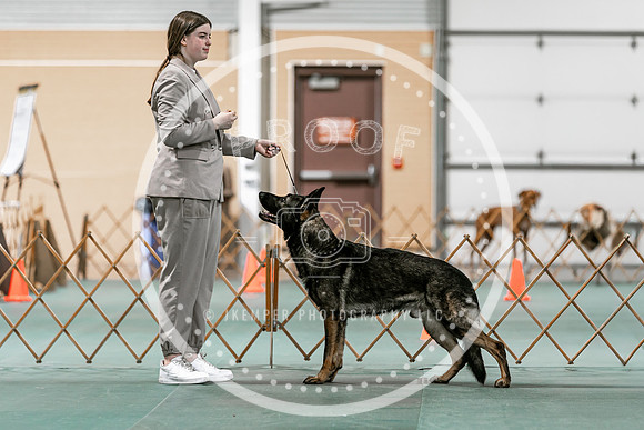 2024 4-H Dog Show SATURDAY-7274