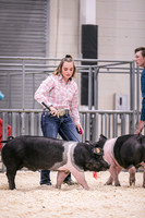 Swine Showmanship-6039