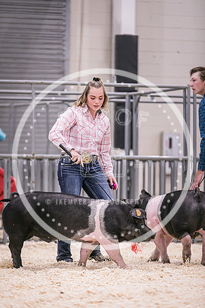 Swine Showmanship-6039