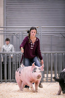 Swine Showmanship-6022