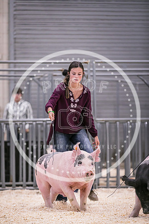 Swine Showmanship-6022