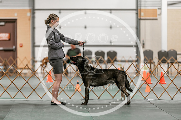 2024 4-H Dog Show SATURDAY-7275