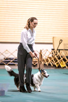 Dog Obedience 2021-5395