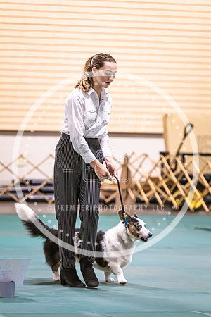 Dog Obedience 2021-5395