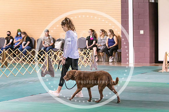 Dog Obedience 2021-5444