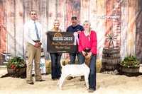 Goats- Backdrop-3328