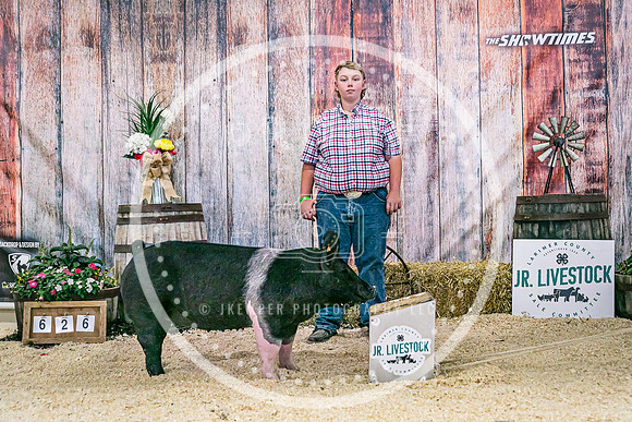 Swine Backdrop-8162
