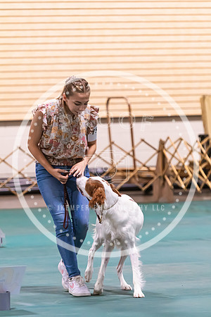 Dog Obedience 2021-5481