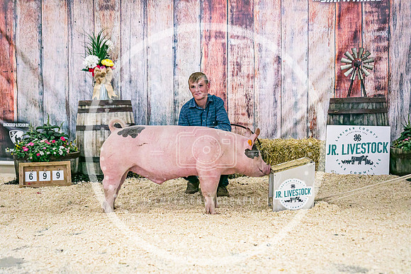 Swine Backdrop-8229
