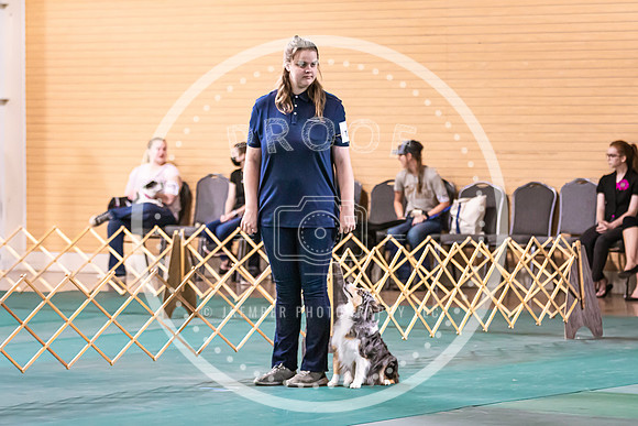Dog Obedience 2021-5410