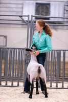 Sheep Showmanship-3606