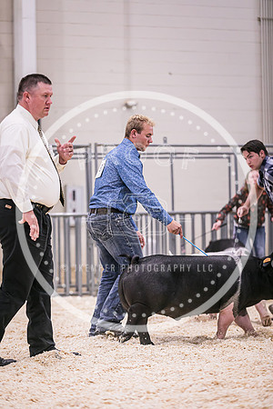Swine Showmanship-6061