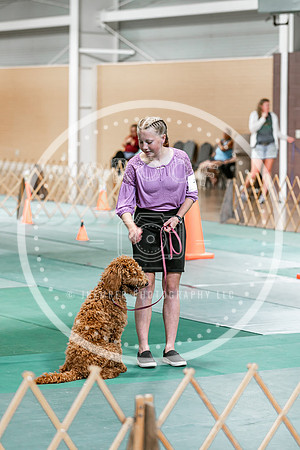 2024 4-H Dog Show SATURDAY-7286