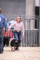 Swine Showmanship-6037