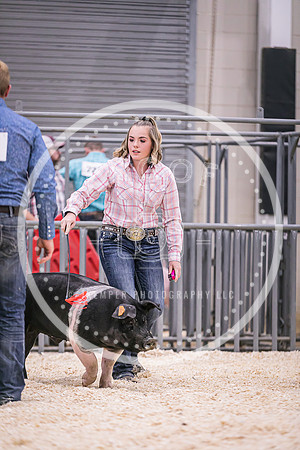 Swine Showmanship-6037