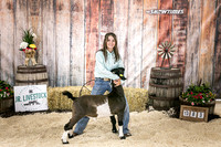 Goats- Backdrop-3379