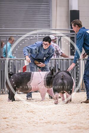 Swine Showmanship-6046
