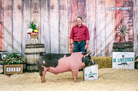 Swine Backdrop-8115