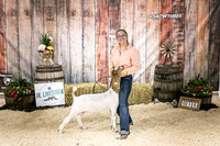 Goats- Backdrop-3348