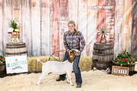Goats- Backdrop-3420
