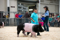 Peewee-5920