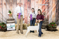 Goats- Backdrop-3398