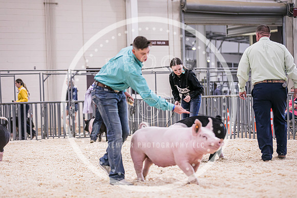 Swine Market-7242