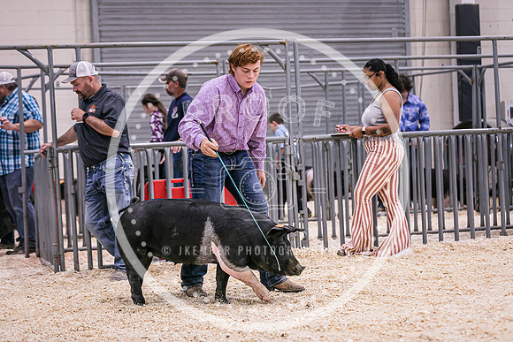 Swine Market-7210