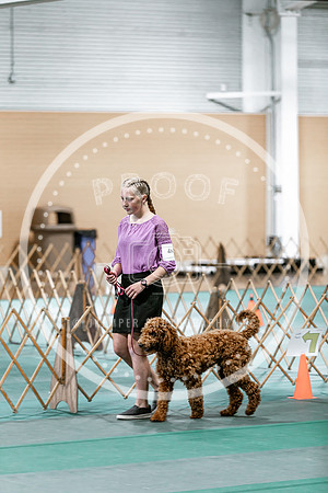 2024 4-H Dog Show SATURDAY-7282