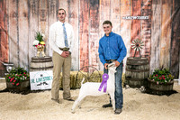 Goats- Backdrop-3412