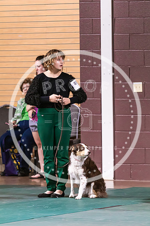 Dog Obedience 2021-5499
